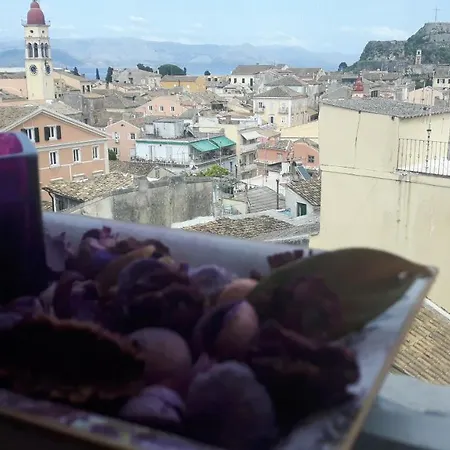 μωβ φωλια / Purple Nest * Corfu (city)